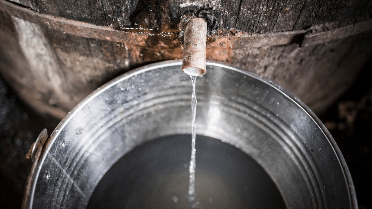 Leak Detection Services in Early, TX