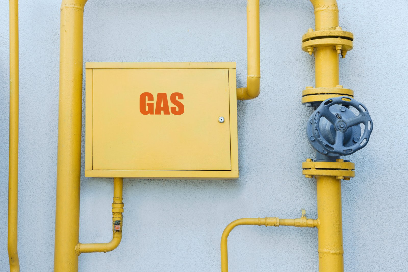gas meter check